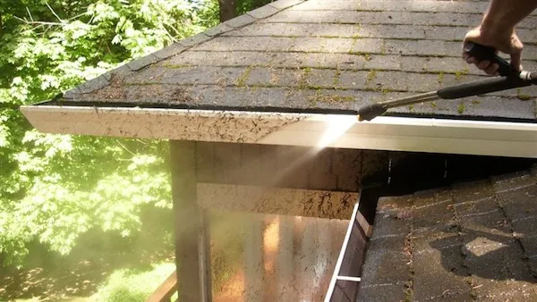 Close-up of Portland home gutter packed with Douglas fir needles in late October