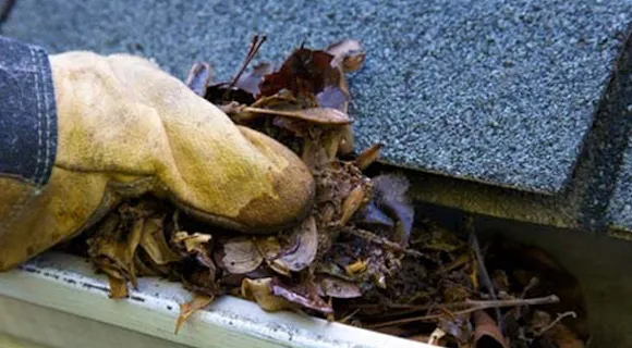USA Gutter crew hand-cleaning a Portland home's gutters from a ladder during fall leaf cleanup