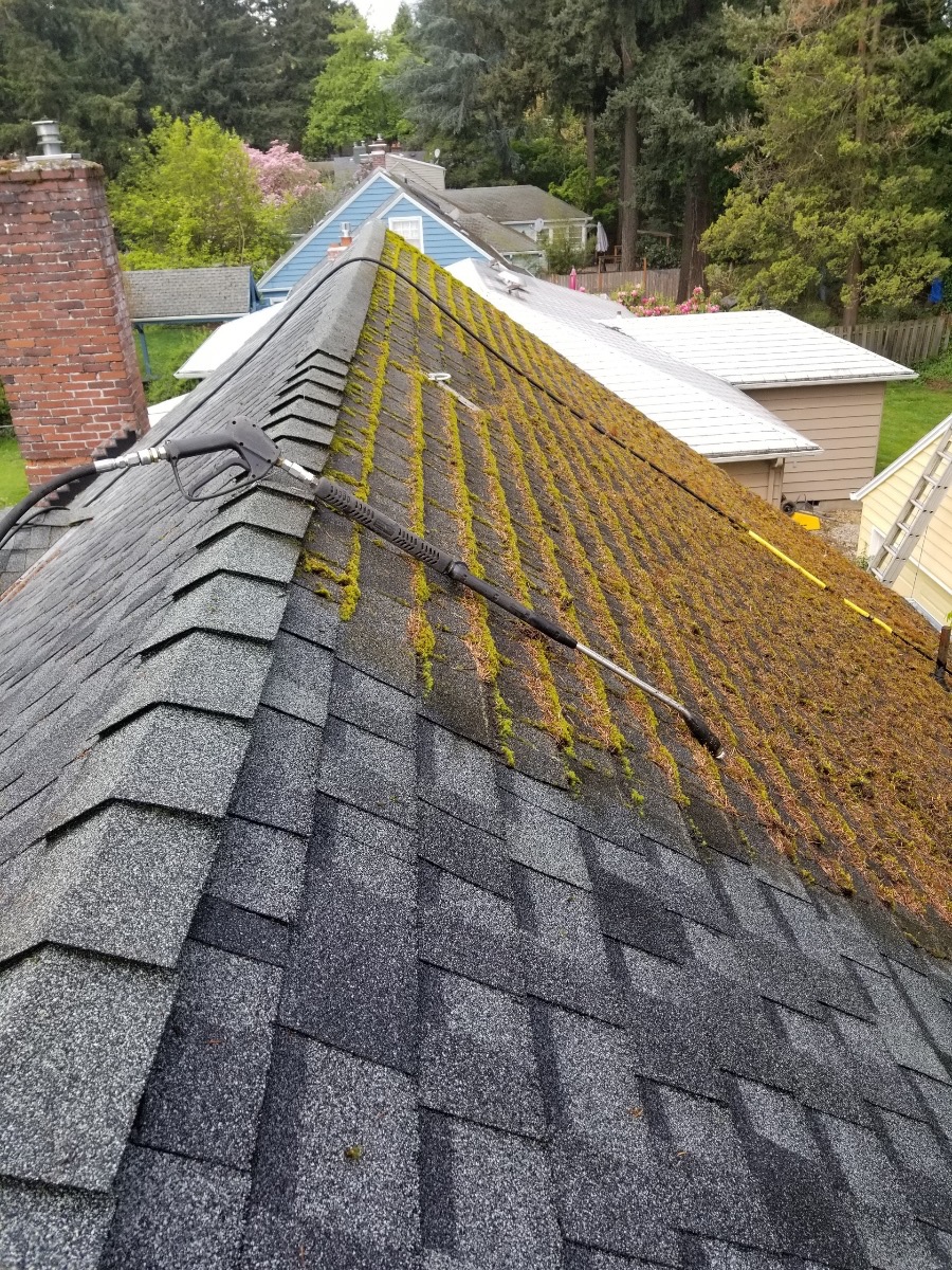 Moss-covered asphalt shingle roof in Portland before soft-wash treatment